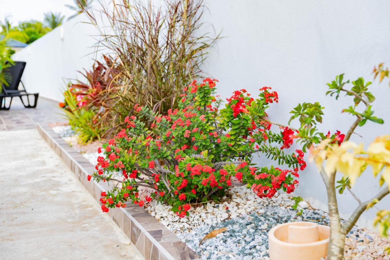 Promo ! Les Paisibles Villas C & G Richeplaine Bagian luar foto